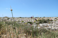 Cabo de São Vicente, Portugal