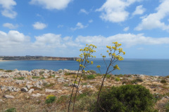 Cabo de São Vicente, Portugal