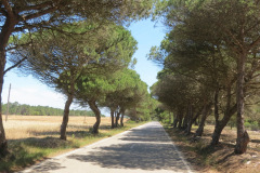 Alentejo, Portugal