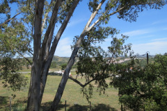 Odemira, Alentejo, Portugal